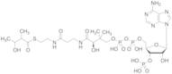 3-Hydroxy-2-methylbutyryl-CoA
