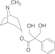 -Hydroxymethyl Atropine