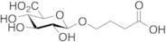 γ-Hydroxybutyric Acid Glucuronide