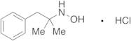 N-Hydroxy Phentermine Hydrochloride