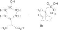 4-Hydroxy-D-(-)-2-phenylglycine-13C6 (+)-3-Bromo-8-camphorsulfonic Acid