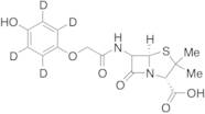 p-Hydroxypenicillin V-d4