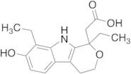 7-Hydroxy Etodolac