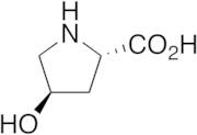 trans-4-Hydroxy-L-proline