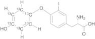 3-Iodo-L-thyronine-13C6