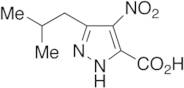 5-Isobutyl-4-nitro-1H-pyrazole-3-carboxylic Acid