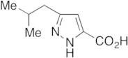 5-Isobutyl-1H-pyrazole-3-carboxylic Acid