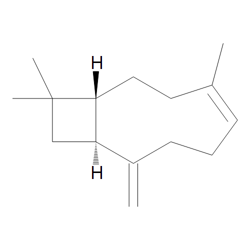 Isocaryophyllene (80%)