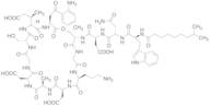 Isodecyl DaptomycinCurrently unavailable