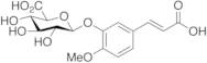 Isoferulic Acid 3-O-β-D-Glucuronide