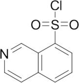 Isoquinoline-8-sulfonyl Chloride