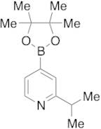2-Isopropylpyridin-4-yl-boronic Acid Pinacol Ester