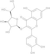 Isoquercitroside