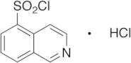 Isoquinoline-5-sulfonyl Chloride, Hydrochloride
