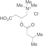 Isovaleryl L-Carnitine Chloride