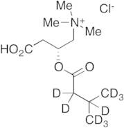 Isovaleryl L-Carnitine-d9 Chloride