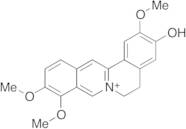 Jatrorrhizine Hydroxide