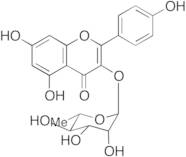 Kaempferol 3-O-alpha-L-Rhamnoside