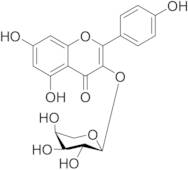 Kaempferol 3-O-α-L-arabinoside