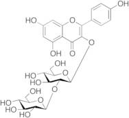 Kaempferol 3-b-Sophoroside