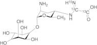 Kasugamycin(~70%)-13C2,15N