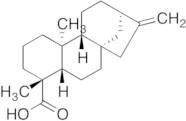 ent-Kaurenoic Acid