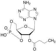 O2'-Monobutyryl Cyclic AMP