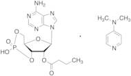 2'-O-Butyryladenosine 3',5'-cyclic phosphate DMAP