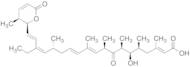 Leptomycin B (5 ug/mL in Ethanol)
