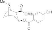 p-Hydroxycocaine (100 μg/mL in Methanol)