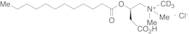 Lauroyl-L-carnitine-d3 Hydrochloride