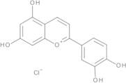 Luteolinidin Chloride