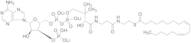 Linoleoyl Coenzyme A Lithium Salt