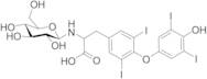 Levothyroxine Glucose Adduct