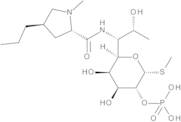 Lincomycin 2-Phosphate