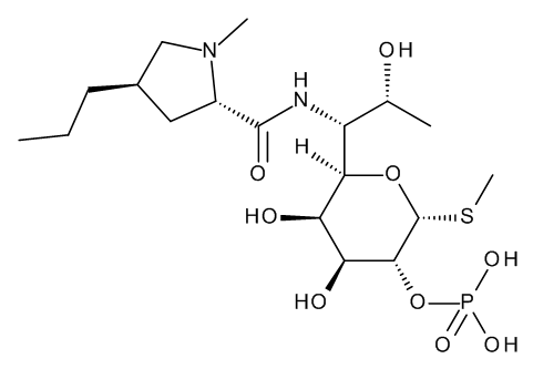 Lincomycin 2-Phosphate