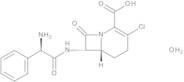 Loracarbef Monohydrate