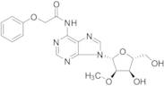 2'-​O-​Methyl-​N-​(phenoxyacetyl)​-adenosine