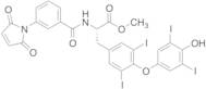 m-Maleimidobenzoyl-L-thyroxine Methyl Ester