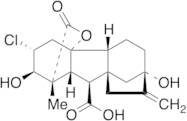 (1S,2R,3R,4aR,4bR,7S,9aS,10S,10aR)-3-Chloro-2,7-dihydroxy-1-methyl-8-methylene-13-oxododecahydro-4…