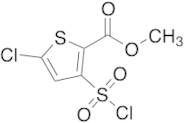 Methyl 5-Chloro-3-(chlorosulfonyl)thiophene-2-carboxylate