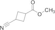 Methyl 3-Cyanocyclobutane-1-carboxylate