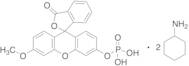 3-O-Methylfluorescein Phosphate Bis-Cyclohexylammonium Salt