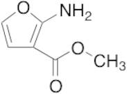 Methyl 2-Amino-3-furancarboxylic Acid Ester