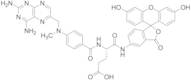 Methotrexate 5-Aminofluorescein Conjugate
