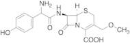 Methoxy Cefadroxil