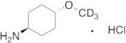 trans-4-Methoxycyclohexanamine-d3 Hydrochloride