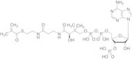 Methylacrylyl-CoA
