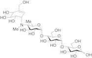 N-Methyl Acarbose