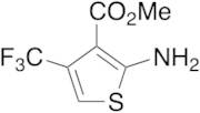 Methyl 2-Amino-4-trifluoromethylthiophene-3-carboxylate